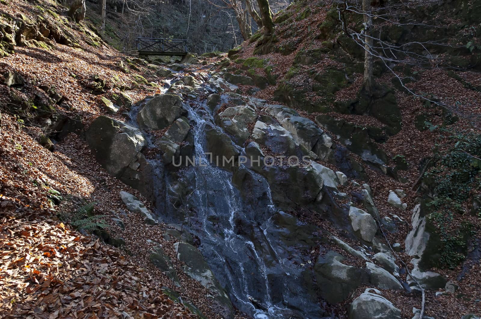 Autumn walk through the labyrinth of the Teteven Balkan with high peaks, river and bridge, Stara Planina, Bulgaria