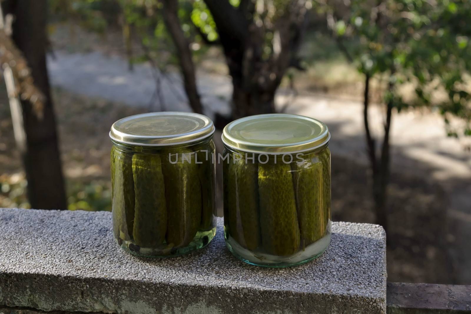 Ready made can of sterilized green cucumbers in a jar, Sofia, Bulgaria