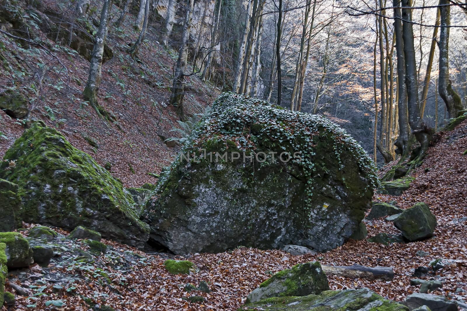 Autumn view toward the labyrinth of the Teteven Balkan with high peaks, glade, two mossy big stones and deciduous forest, Stara Planina, Bulgaria