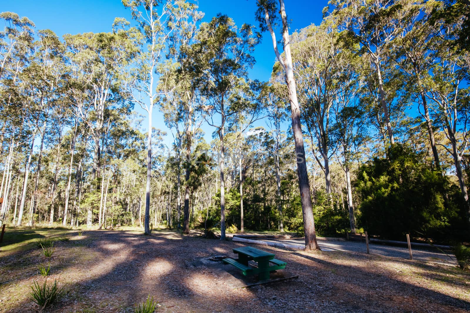 Bodalla Park and Lake Mummuga in Australia by FiledIMAGE