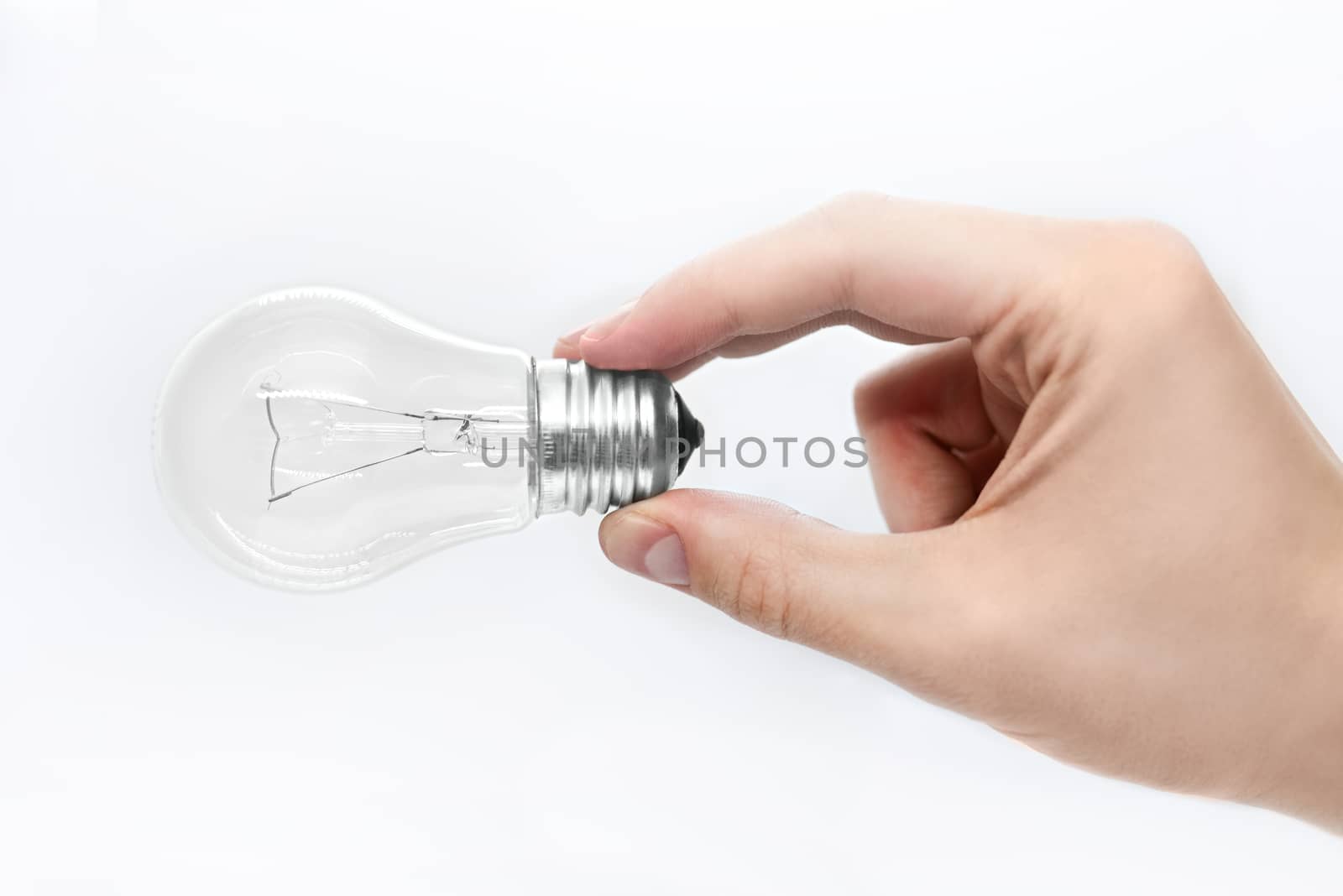 bulb in hand isolated on white background