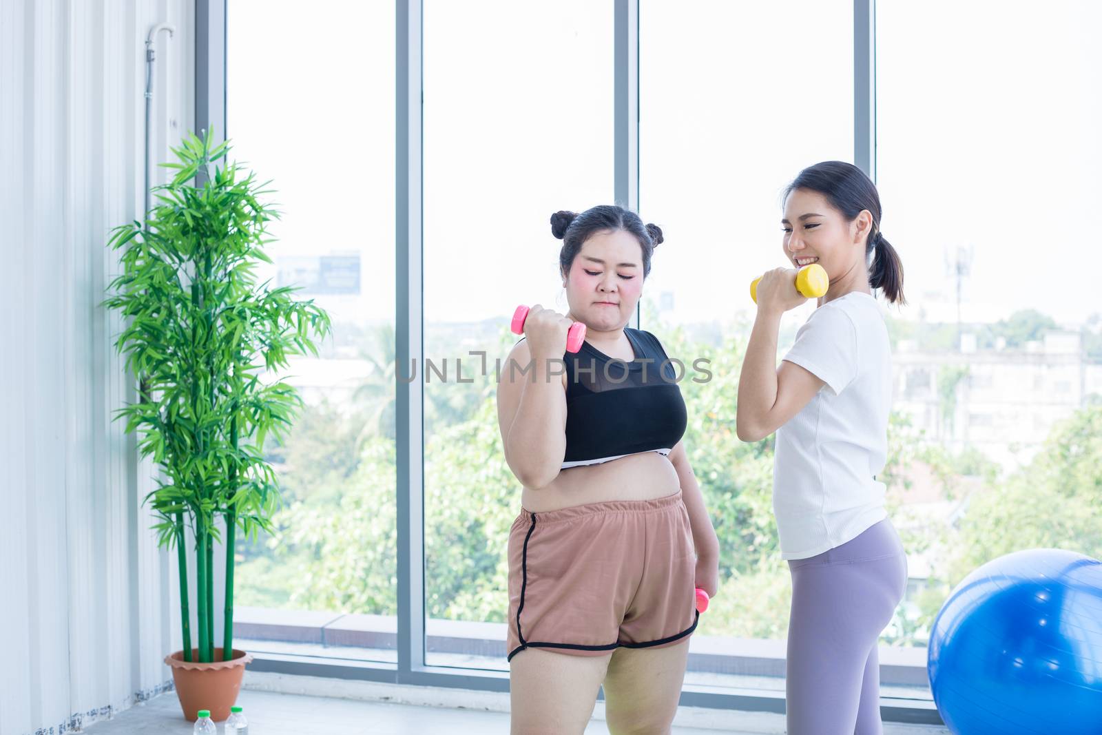 two Asian woman exercising with dumbbell at home