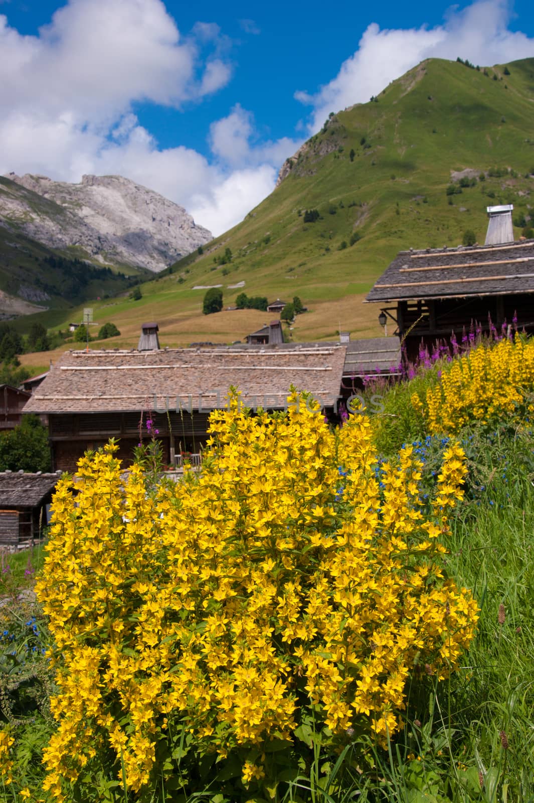 le chinaillon,grand bornand,haute savoie,france