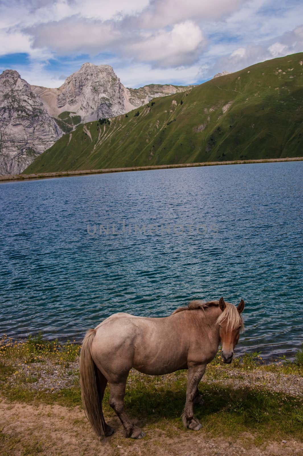 lac de maroli,le chinaillon,grand bornand,haute savoie,france