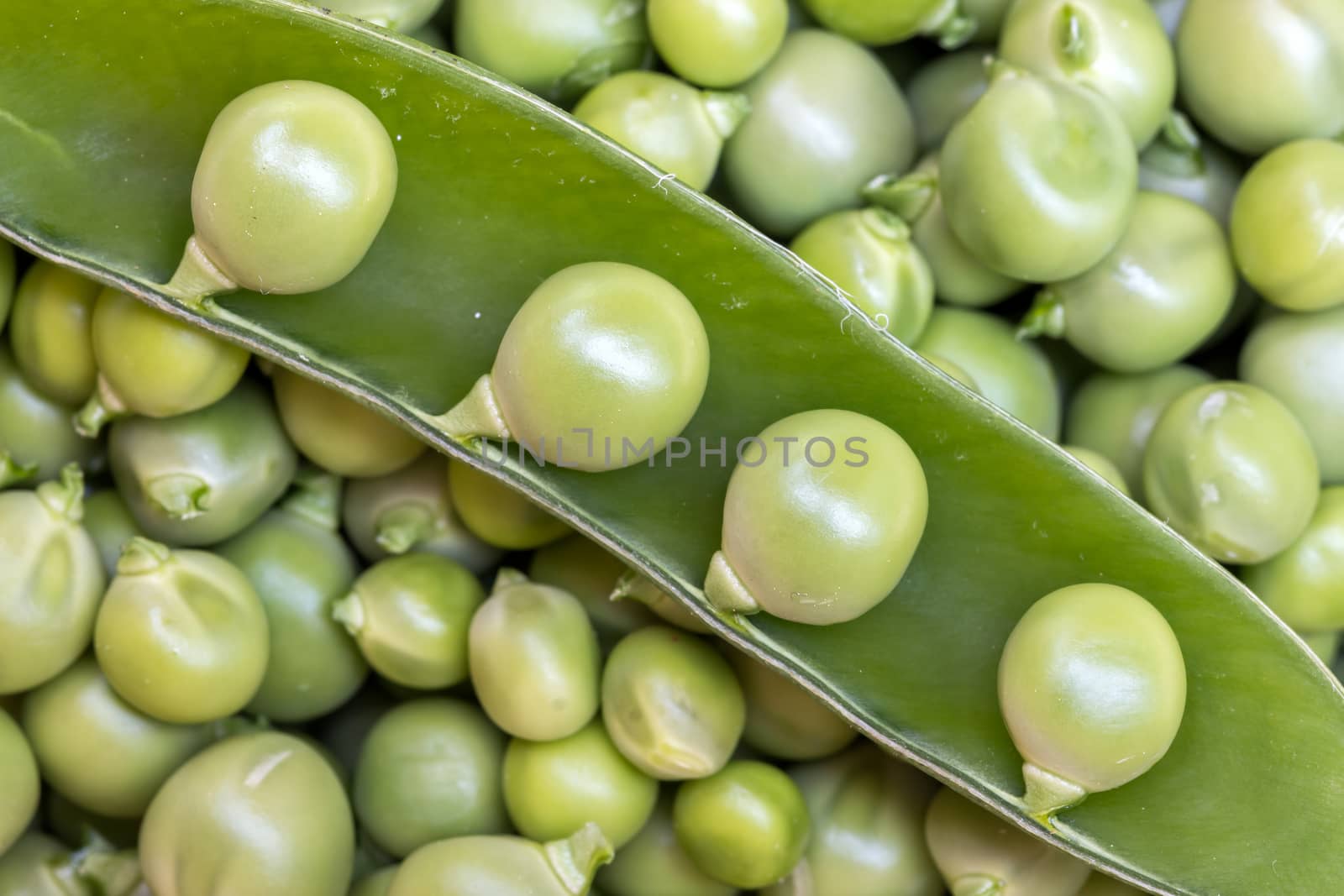 Green Peas background texture vegetable by Digoarpi