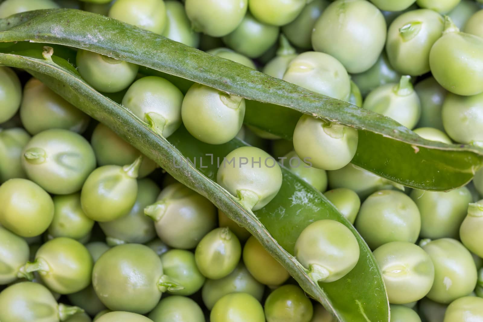 Green Peas background texture vegetable
