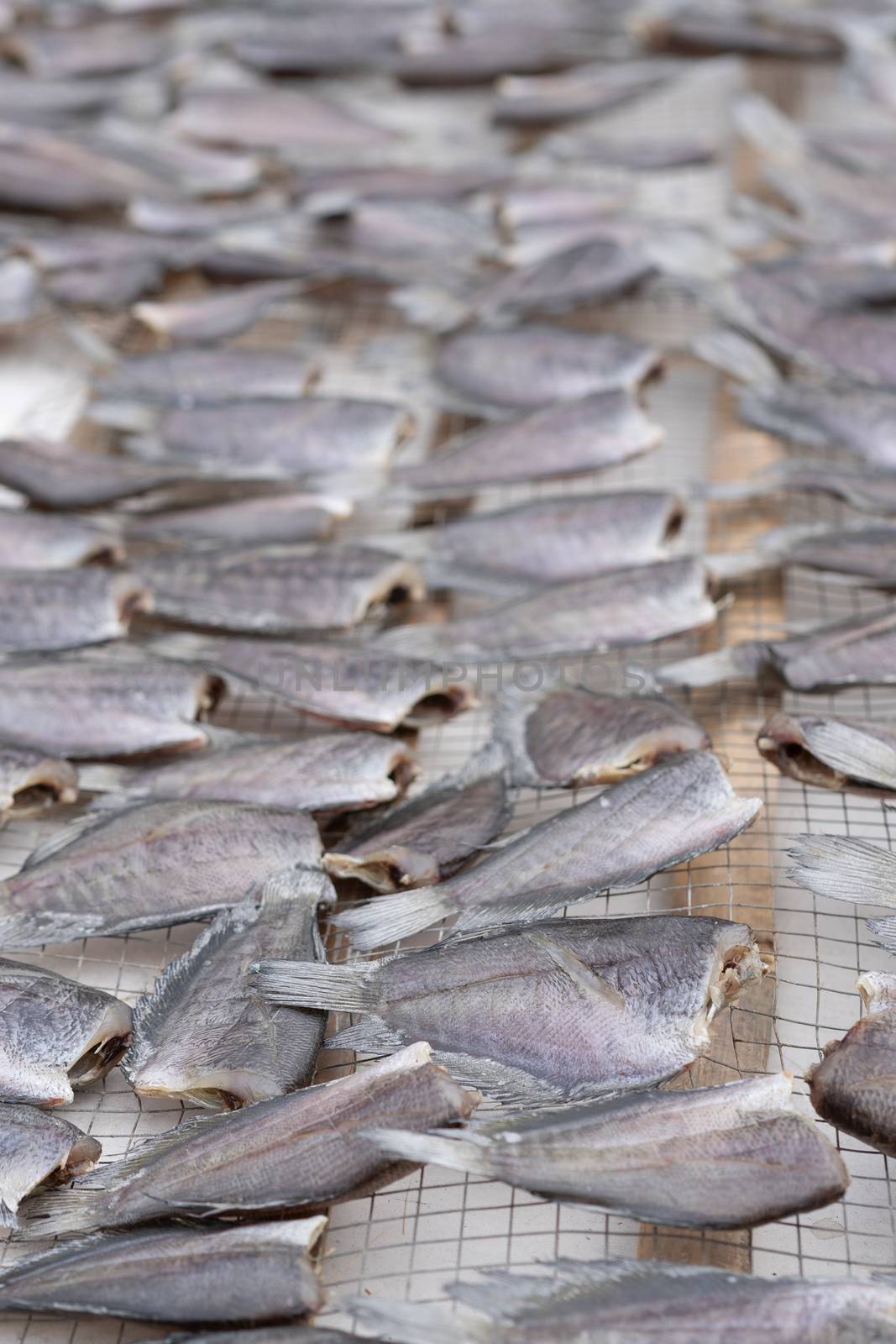 Trichogaster pectoralis or Snake-skined gourami is a local freshwater fish that has good taste and is popular for both fresh fish and processed into various products such as sun-dried fish.