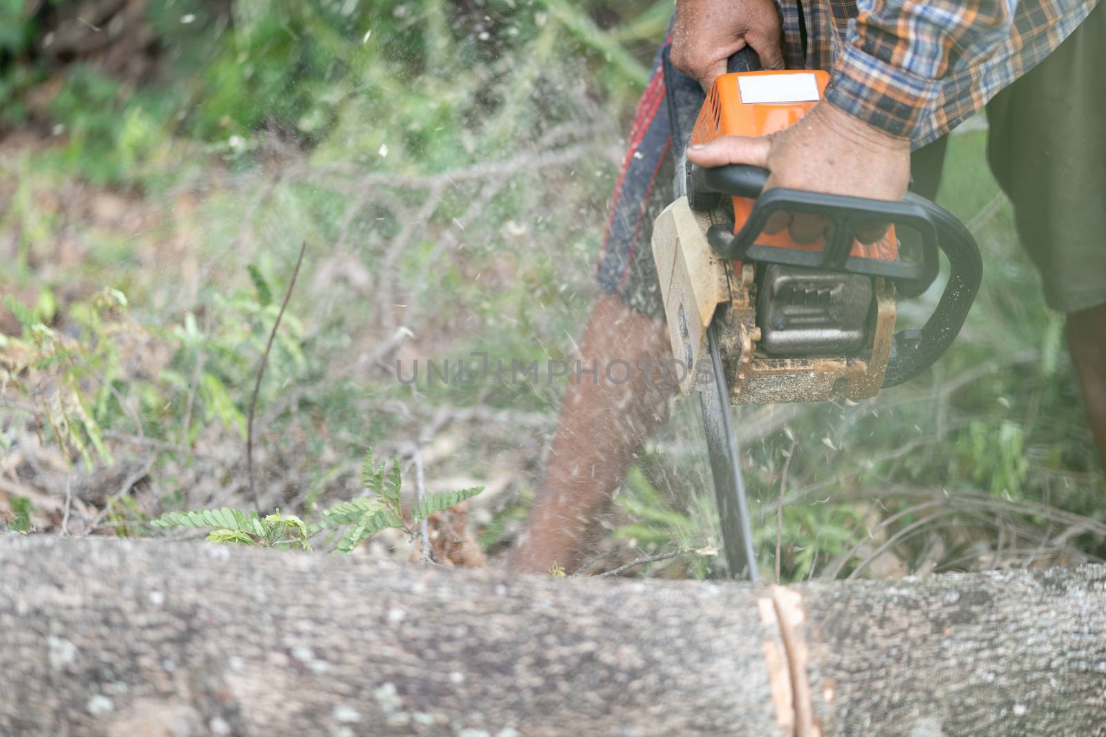Close-up of chainsaw, sawing wood, sawdust movement, flying to the side.