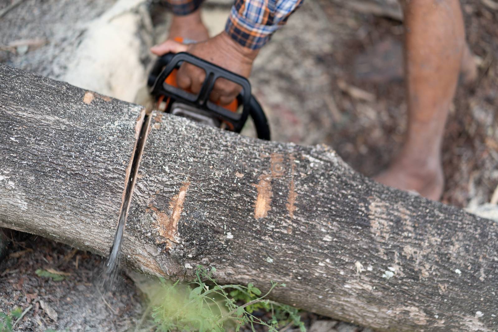 A close-up picture of an electric wood saw by JCStock