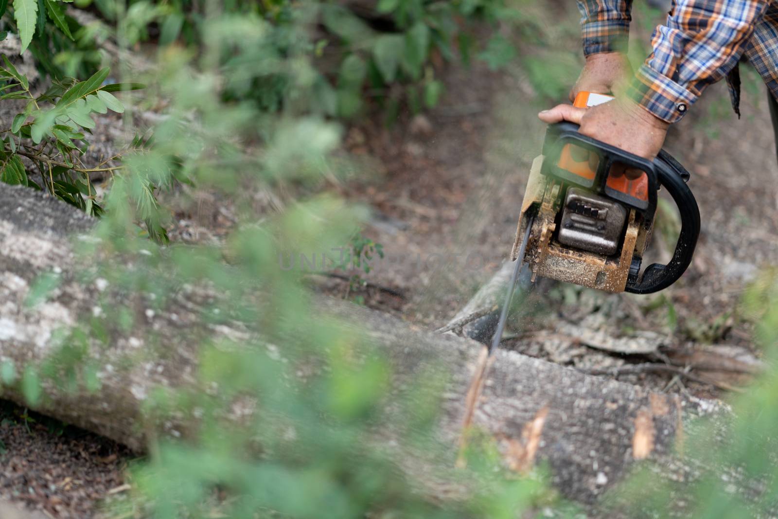 Lumberjack using machine saw. Man using machine saw while cuttin by JCStock