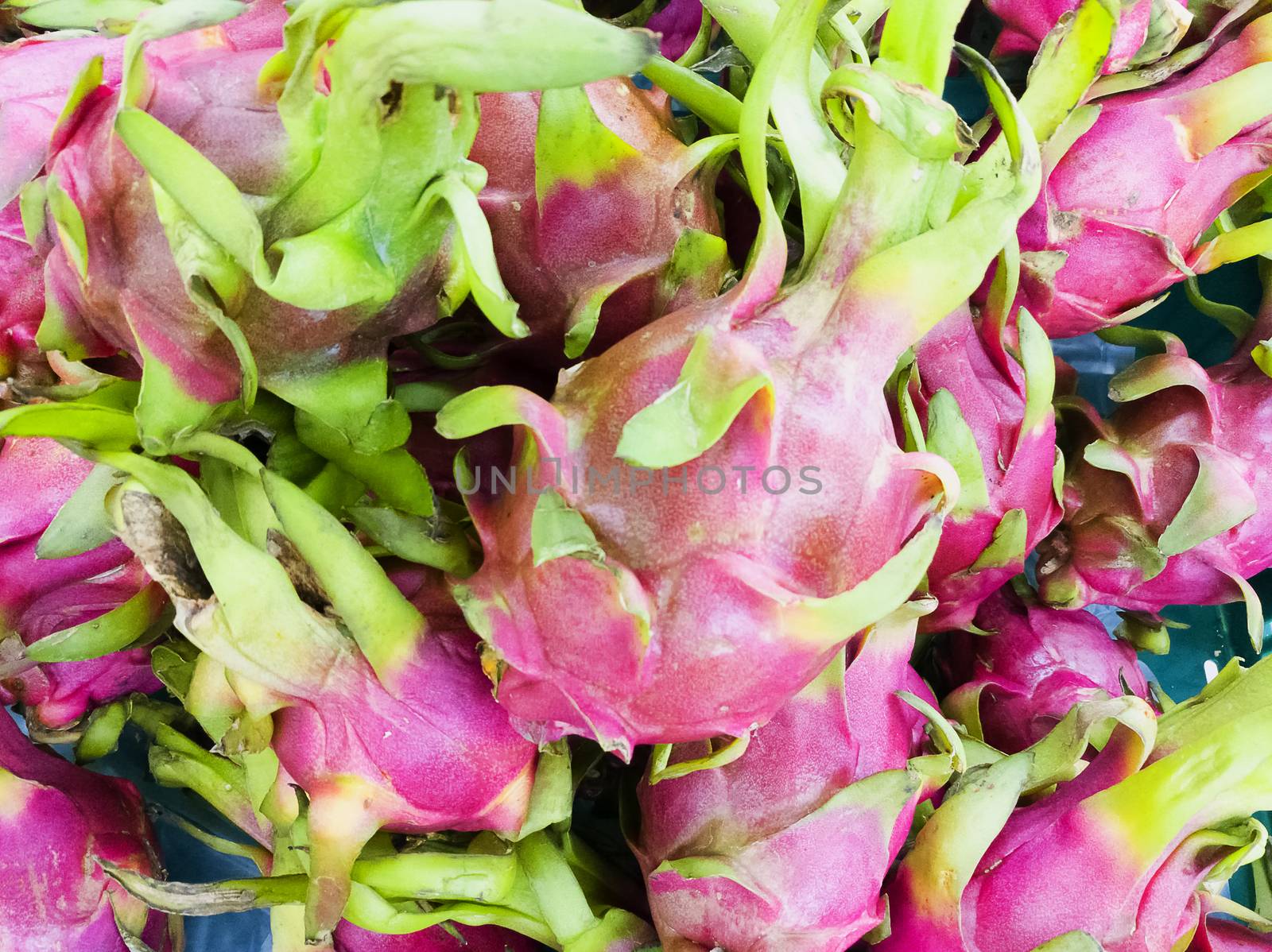 Dragon fruit on market Thailand