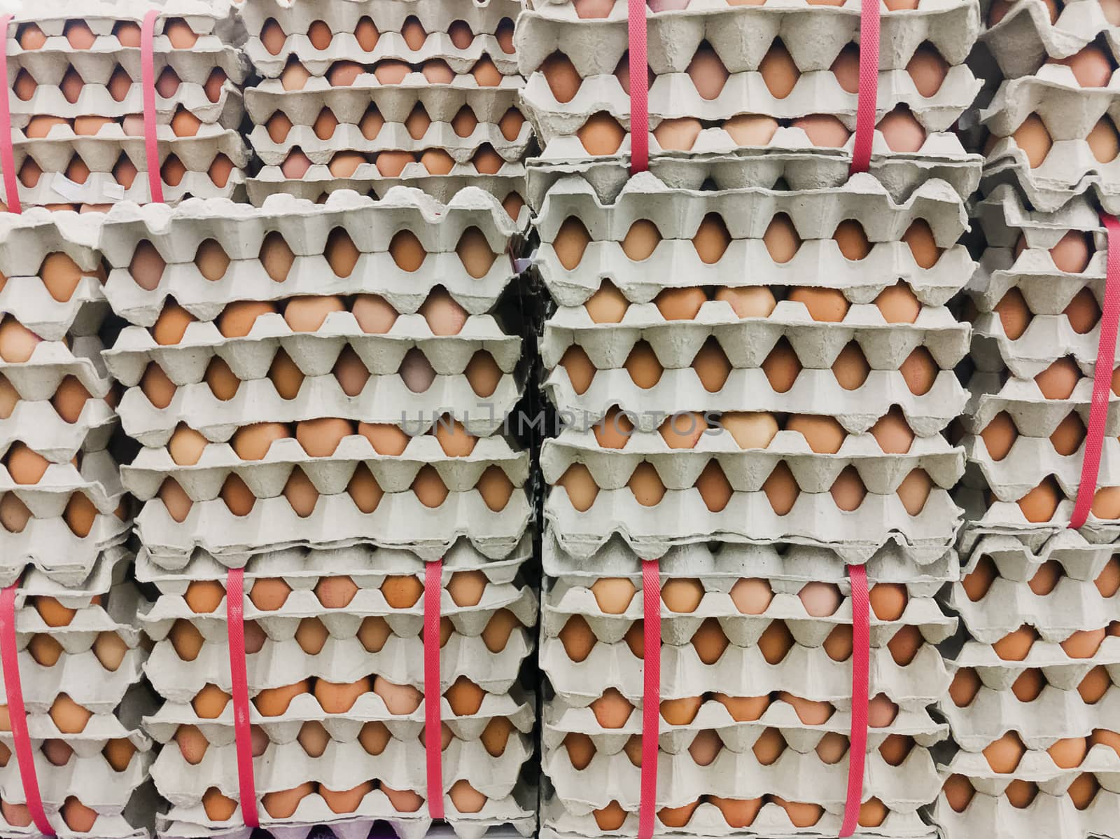 A lot of egg in panel display on fresh market