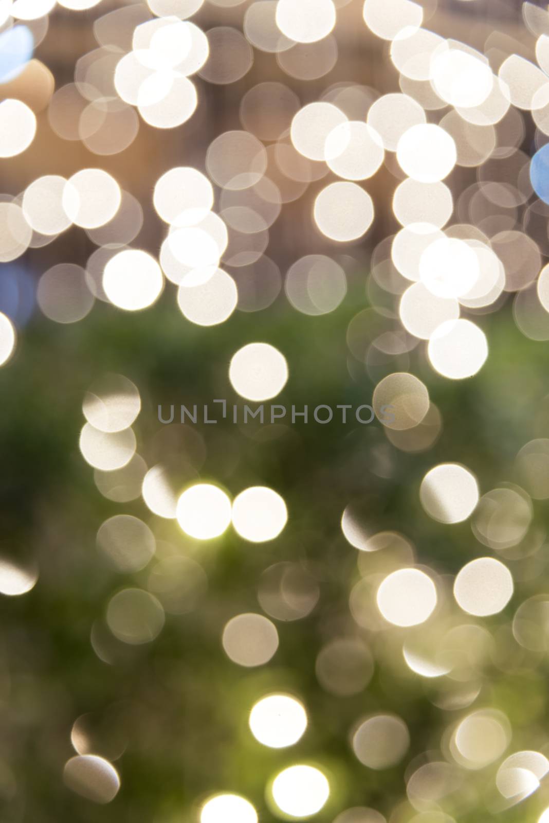 Green and light Bokea