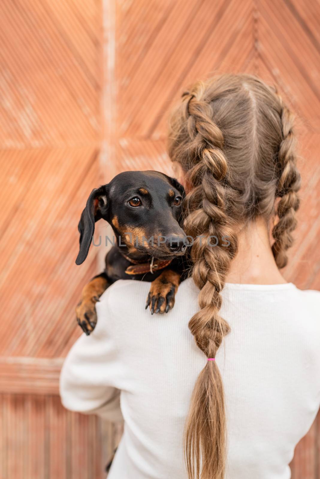 Pet care concept. Young woman with plaited hair holding her pet dachshund in her arms outdoors