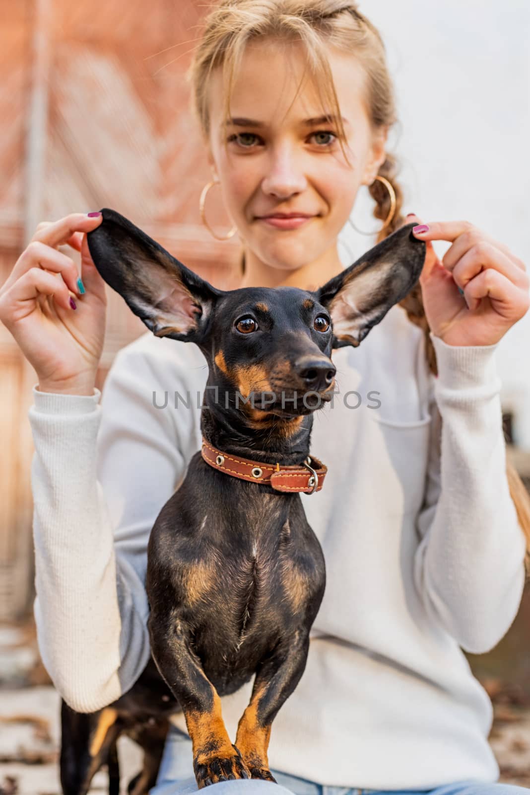 Pet care concept. Young woman holding ears of her dachshund dog outdoors. Focus on pet