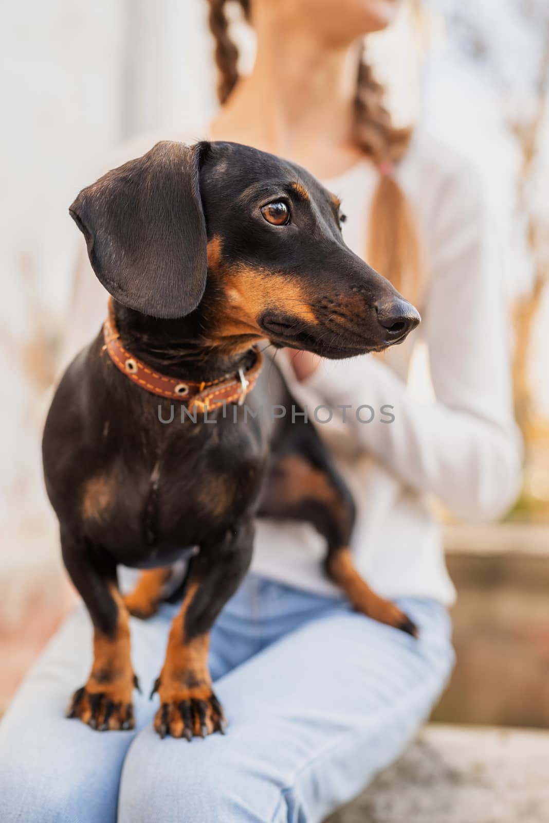 Pet care concept. Young woman hugging her dachshund dog outdoors. Focus on woman face