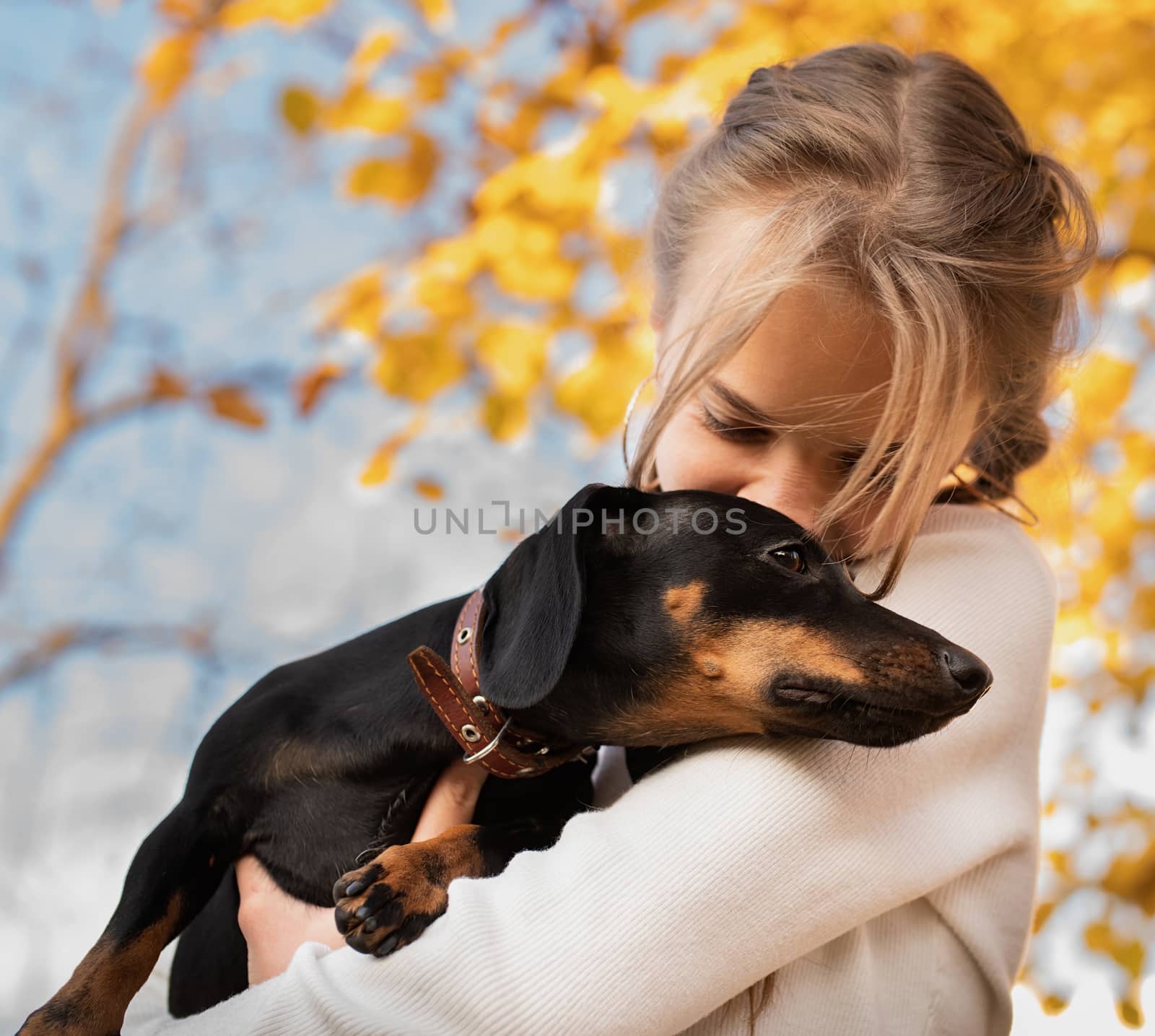 Pet care concept. Portrait of young woman hugging her dachshund dog on yellow trees background