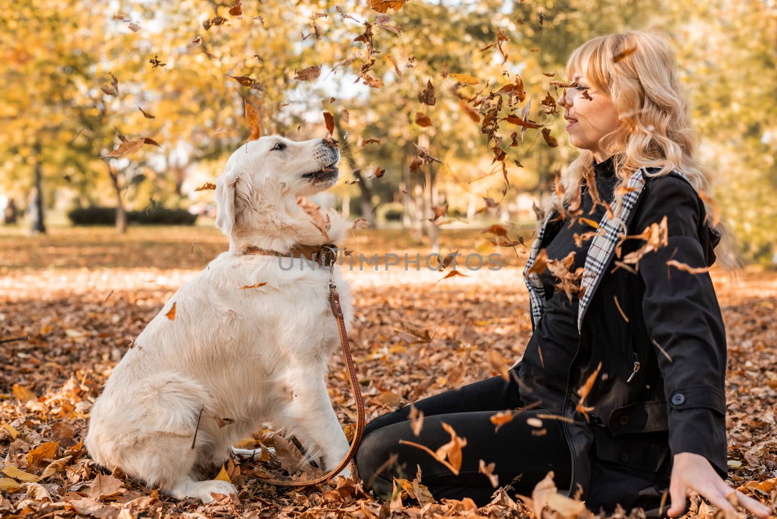 happy owner woman playing with her retriever dog in autumn park by Desperada