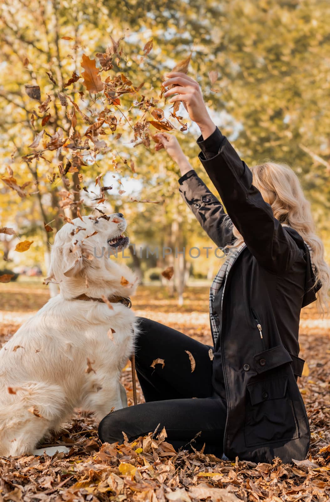 happy owner woman playing with her retriever dog in autumn park by Desperada