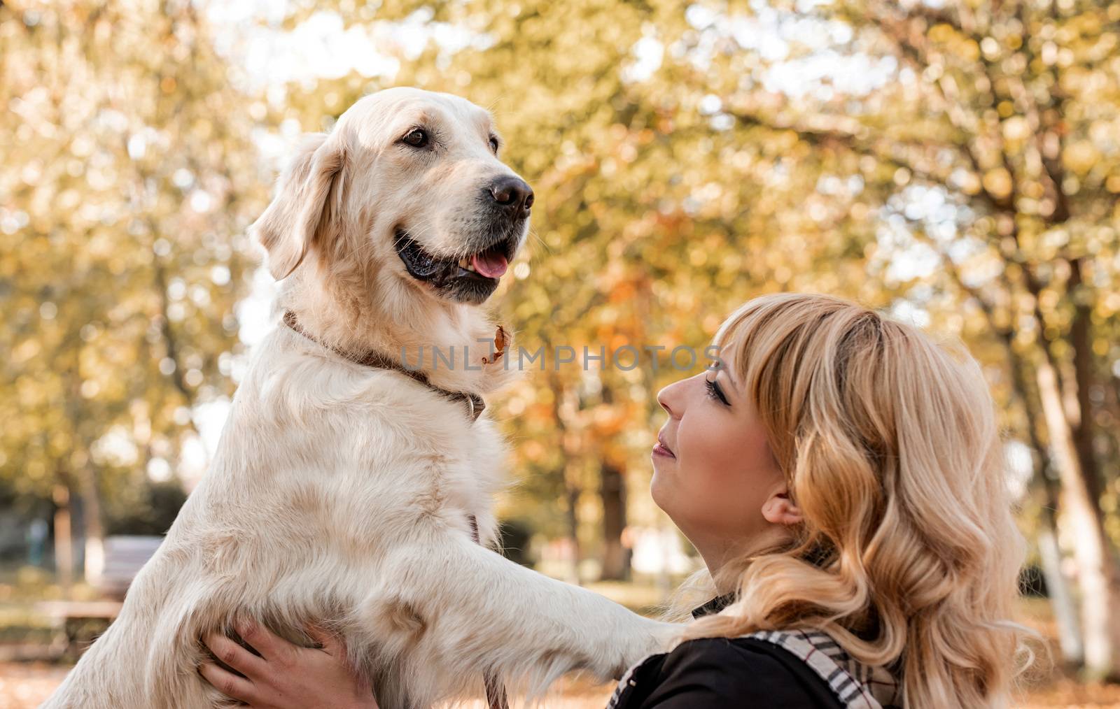 Pet care concept. Beautiful woman playing with her labrador retriever dog in the park