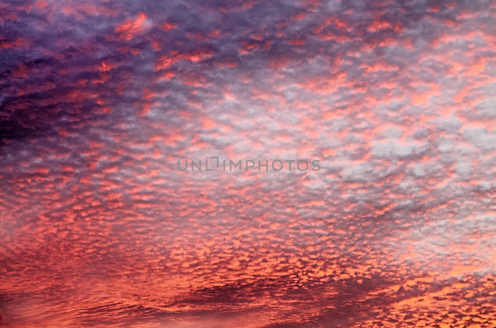 Beautiful panorama of orange and yellow clouds at sunrise by MP_foto71