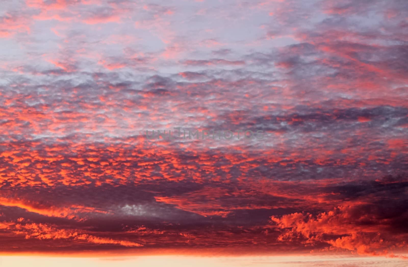 Beautiful panorama of orange and yellow clouds at sunrise by MP_foto71