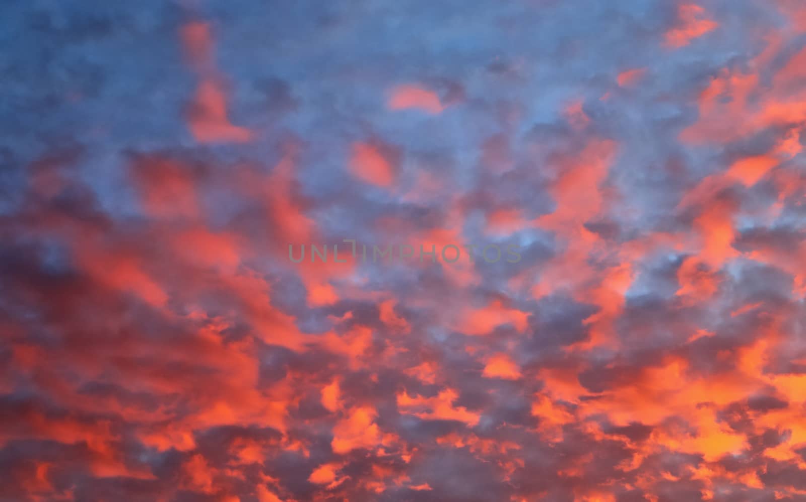 Beautiful panorama of orange and yellow clouds at sunrise by MP_foto71