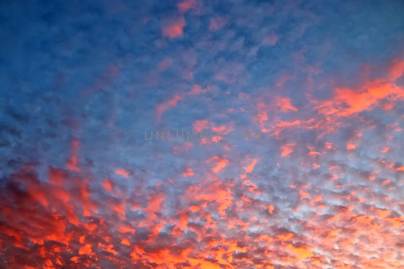 Beautiful panorama of orange and yellow clouds at sunrise and sunset in a blue sky