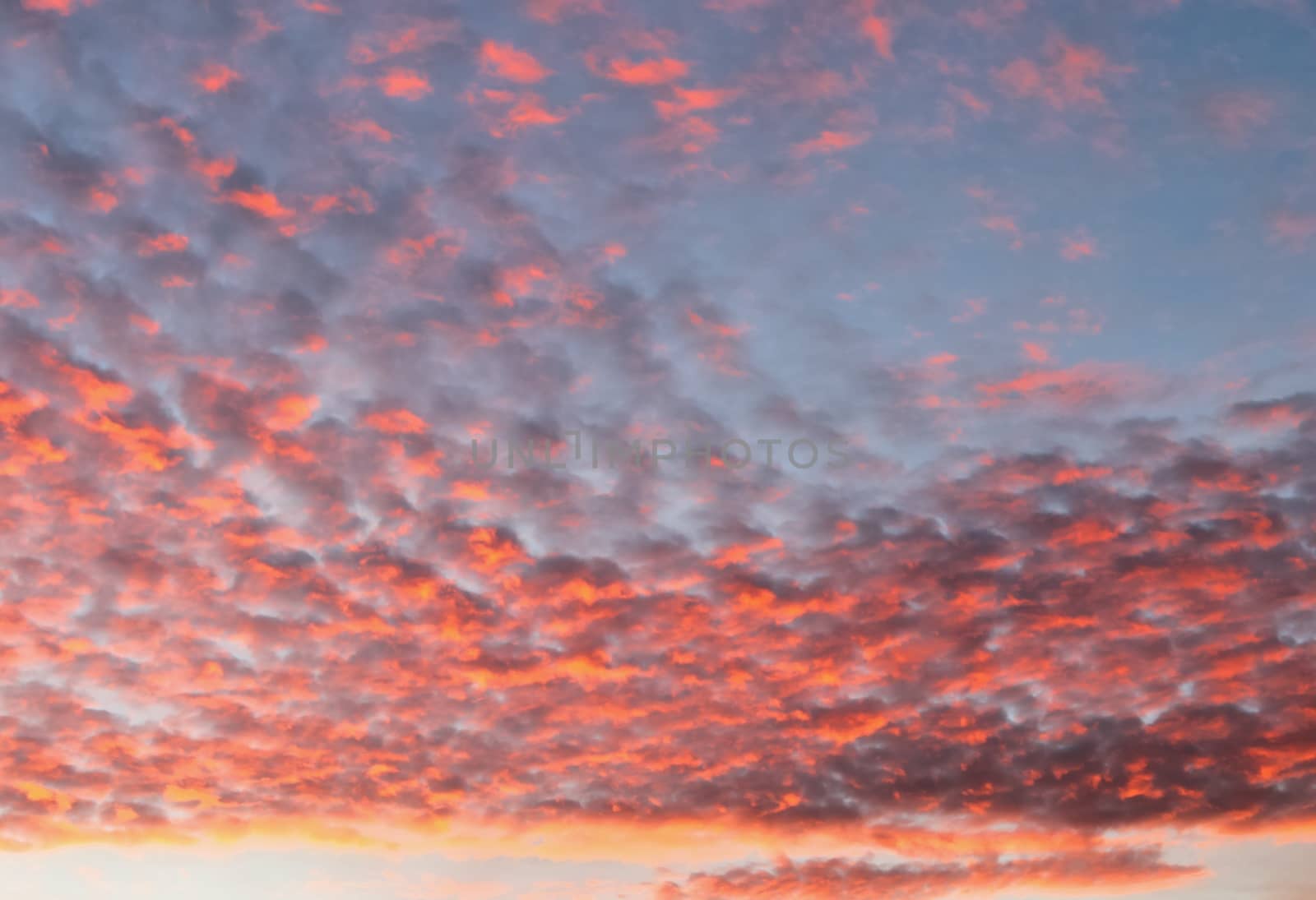 Beautiful panorama of orange and yellow clouds at sunrise and sunset in a blue sky