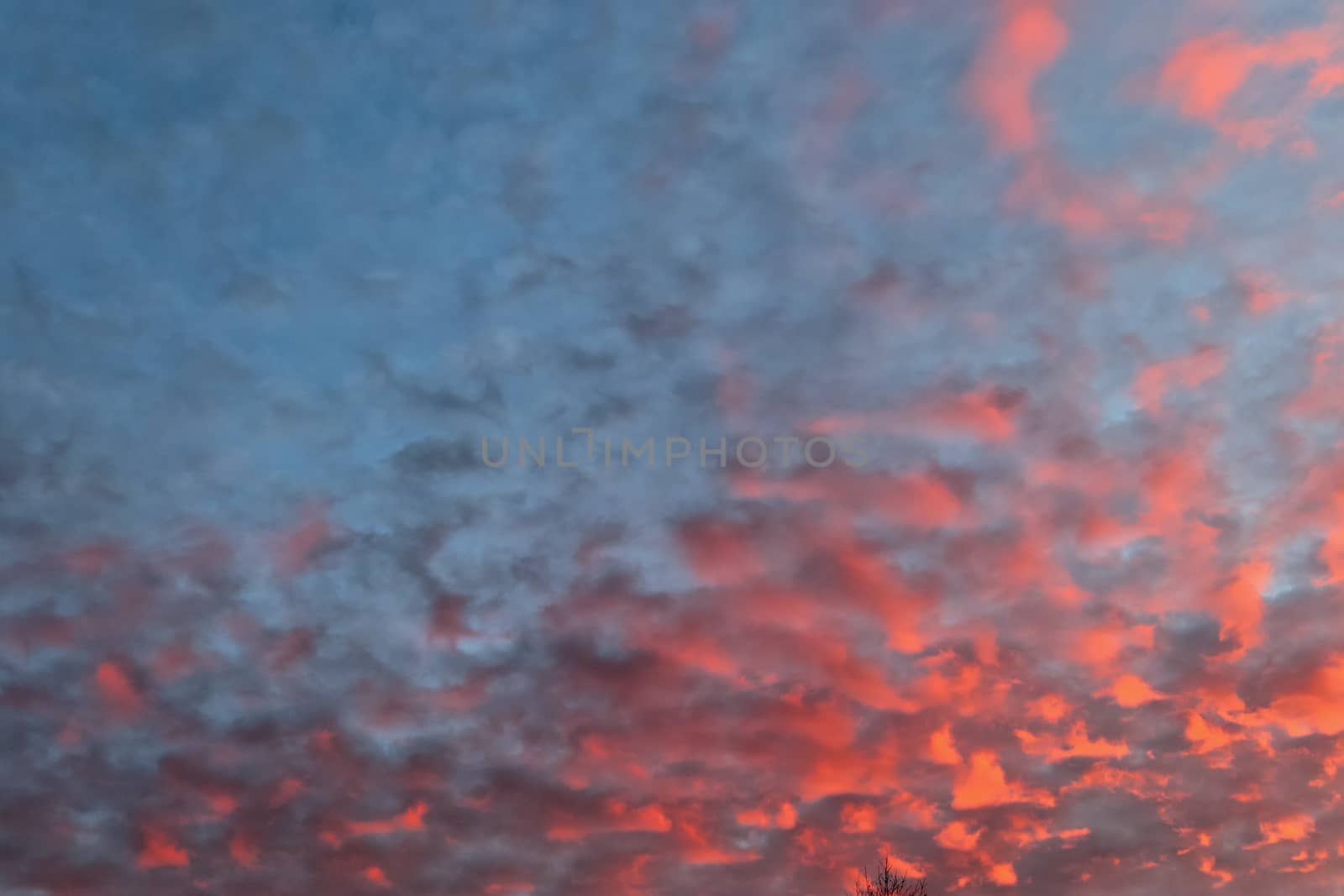 Beautiful panorama of orange and yellow clouds at sunrise and sunset in a blue sky