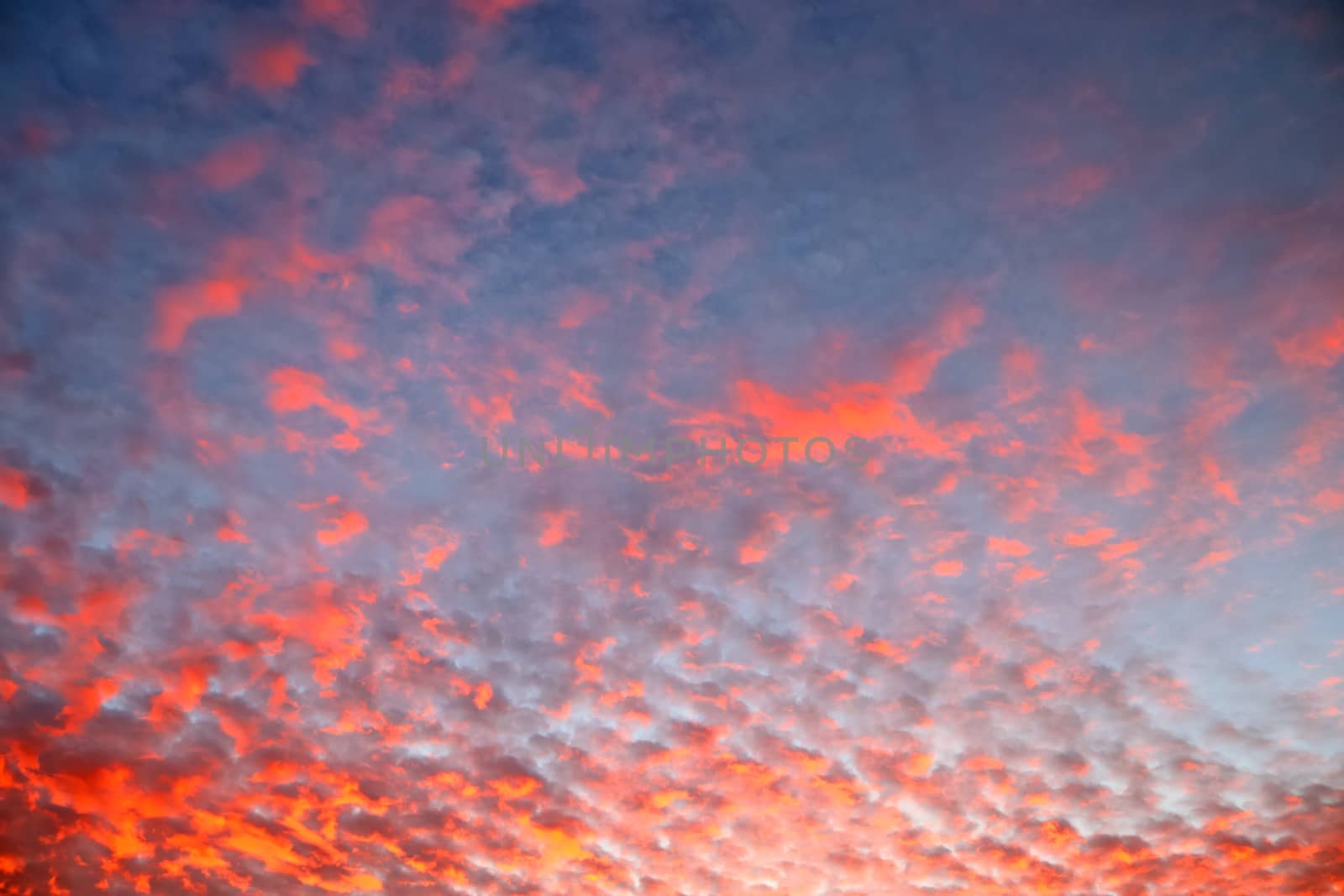 Beautiful panorama of orange and yellow clouds at sunrise and sunset in a blue sky