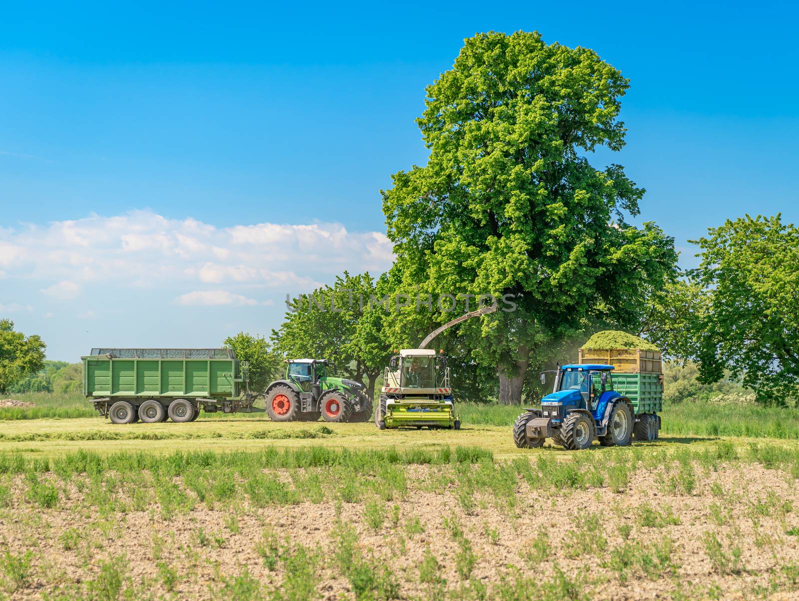 harvesting hay from the field with the help of a combine harvester and a tractor.