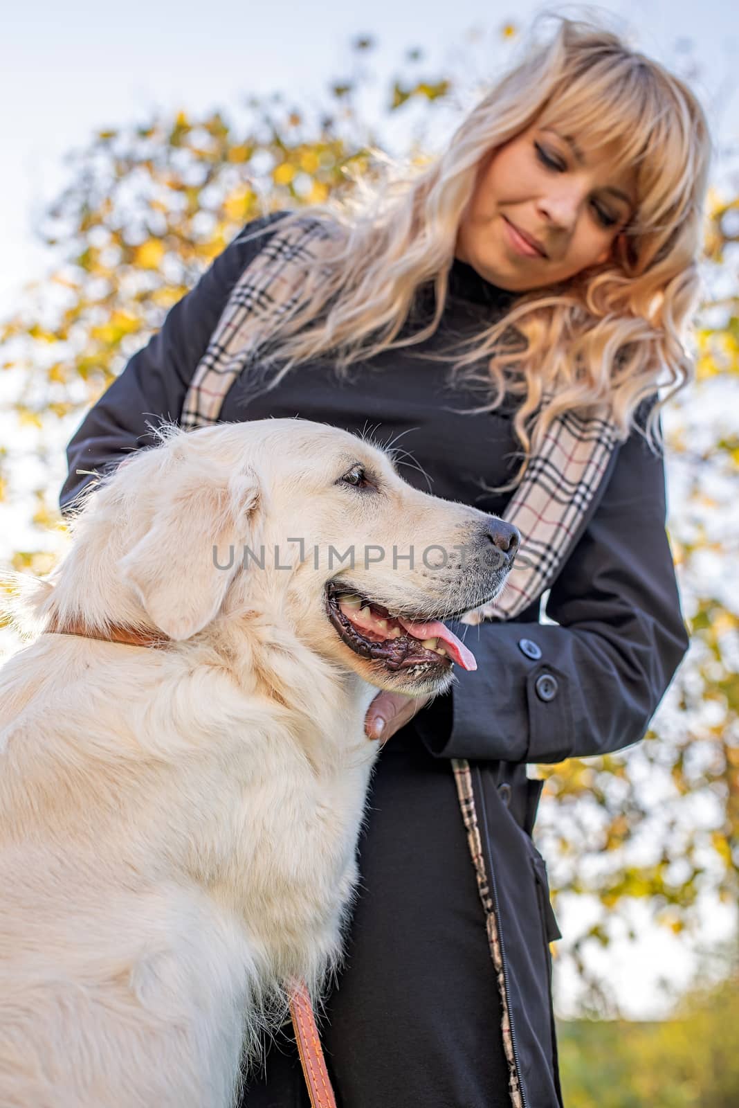Pet care concept. Beautiful blond caucasian woman holding a paw of the dog in the park