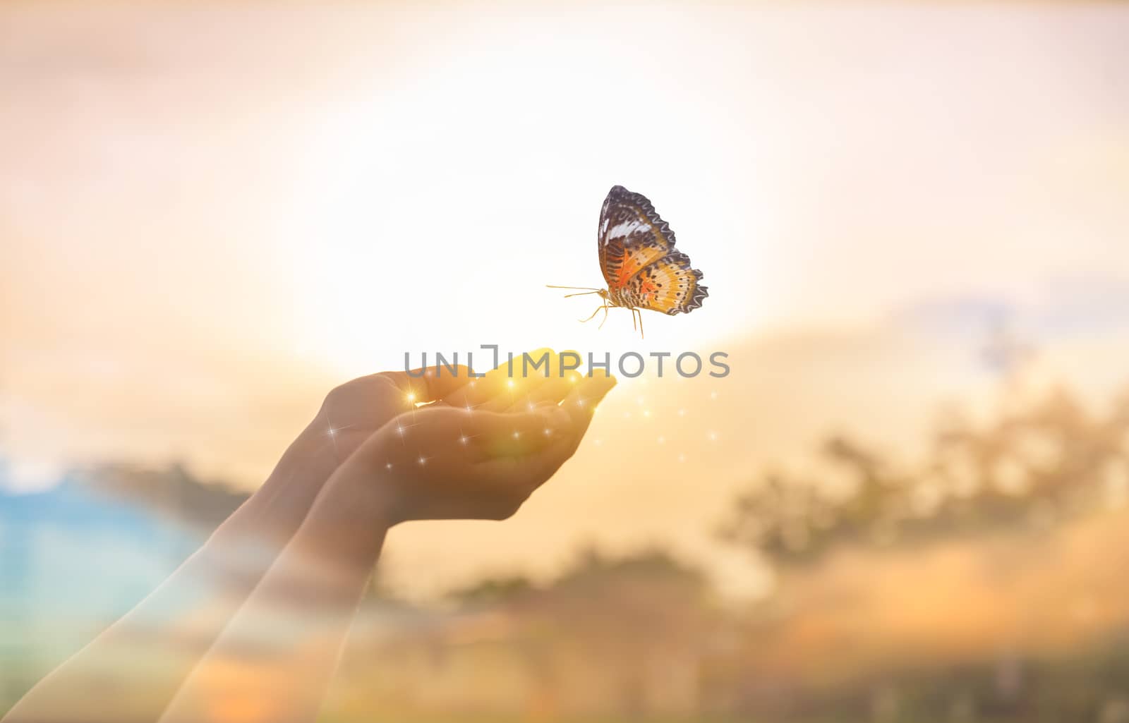 The girl frees the butterfly from  moment Concept of freedom by sarayut_thaneerat