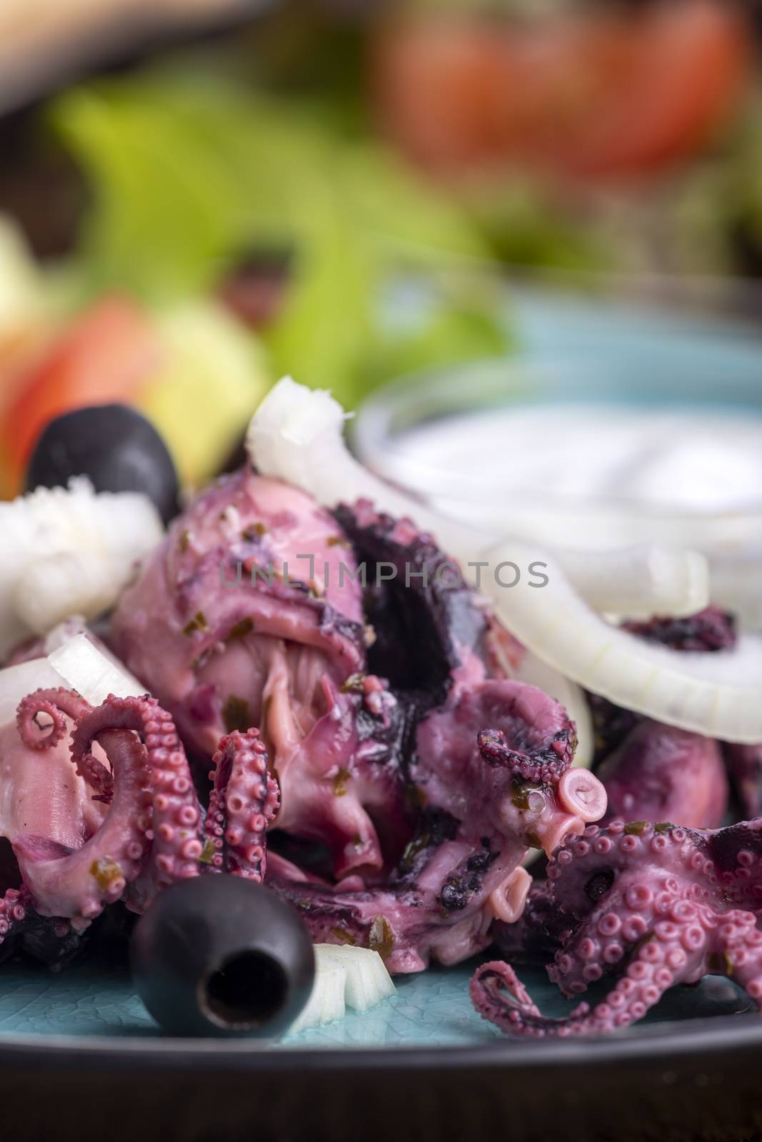 octopus salad by bernjuer