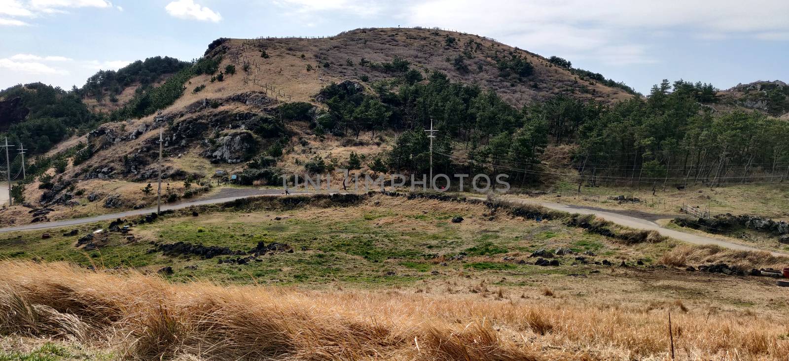 Grassland and marshlands texture of songaksan mountain in Jeju Island, South Korea