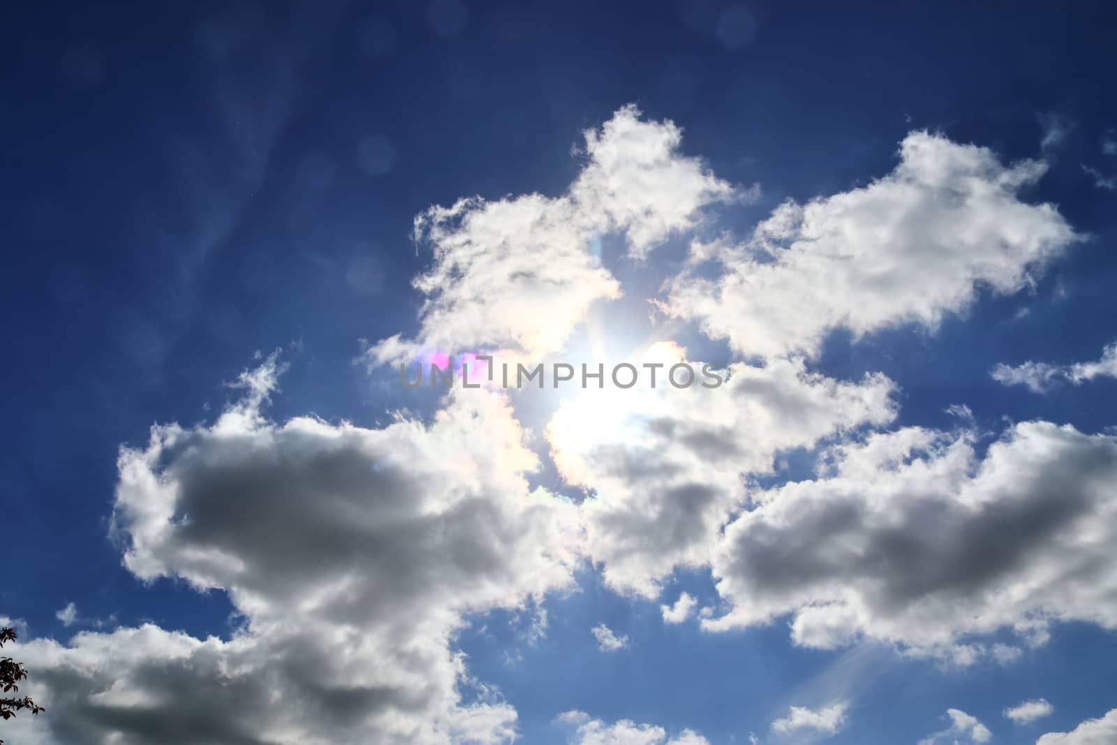 Beautiful view at sunbeams with some lens flares and clouds in a by MP_foto71