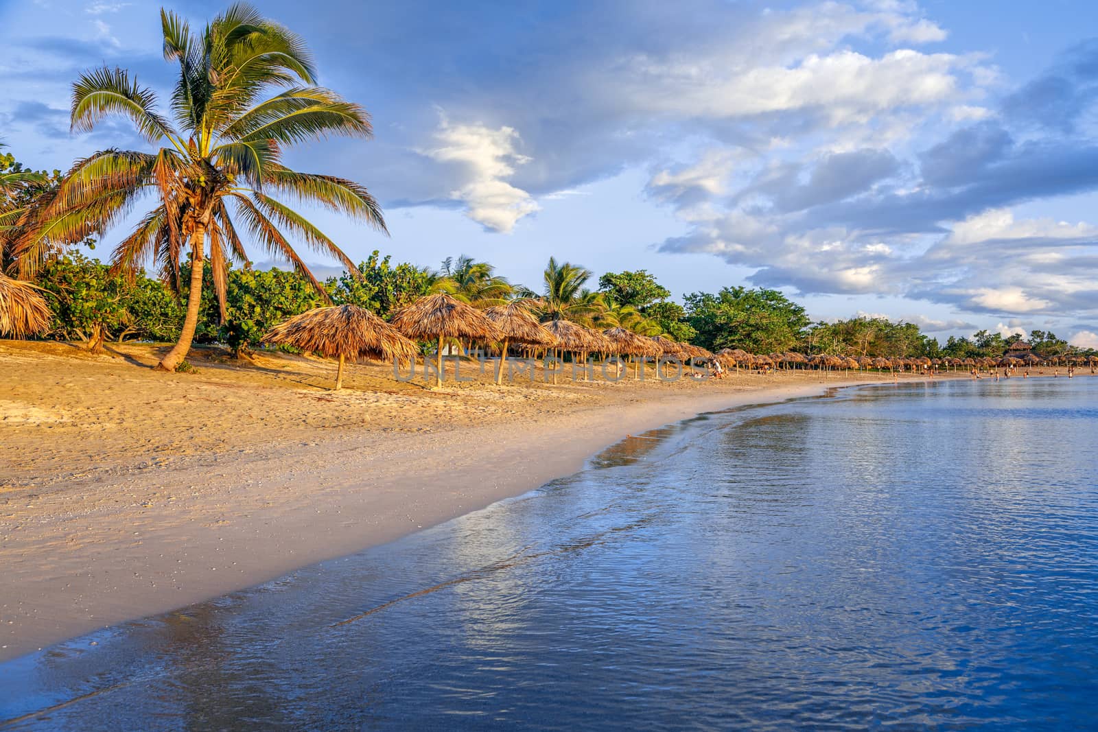 Rancho Luna caribbean beach with palms and straw umrellas on the by ambeon