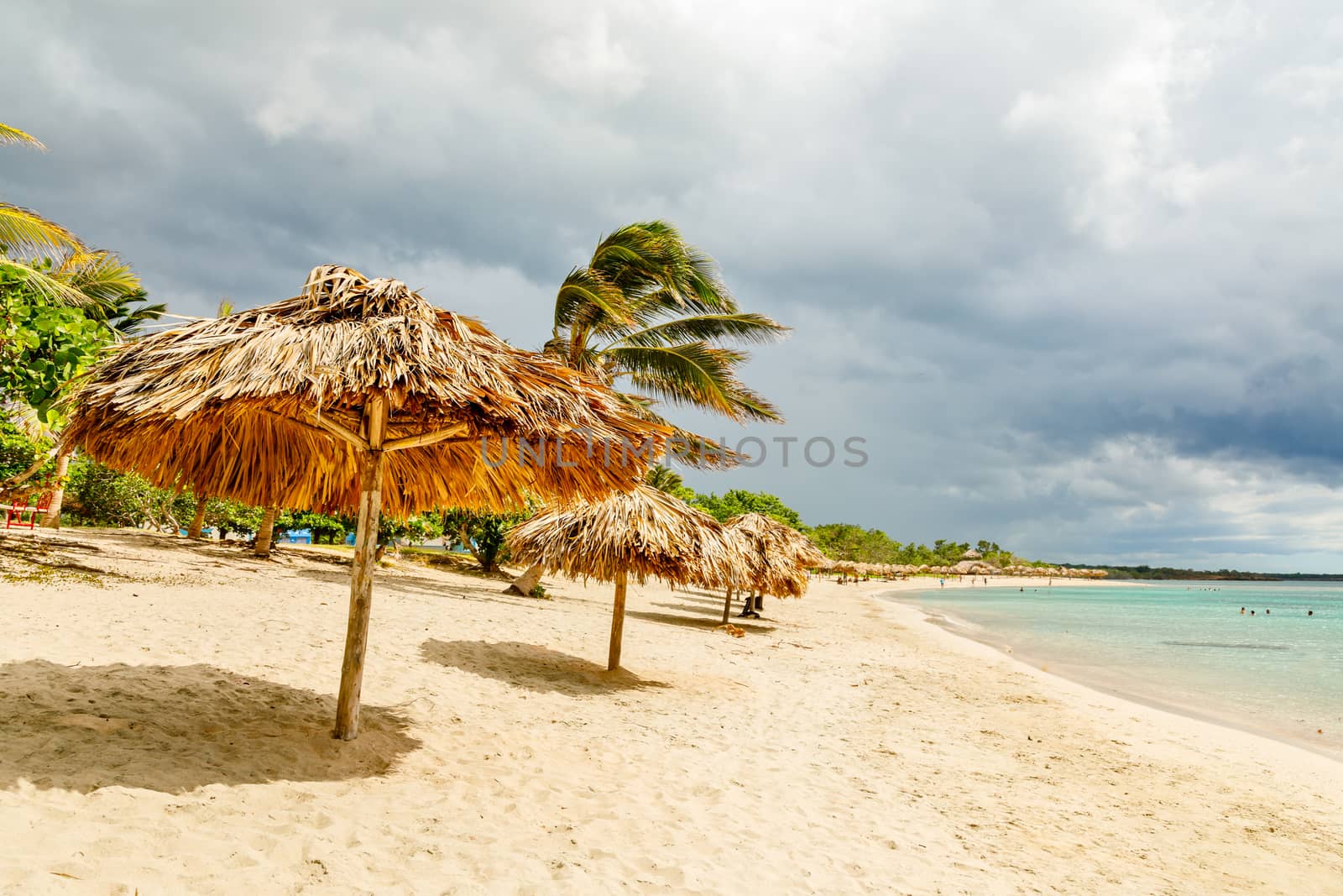 Rancho Luna sandy beach with palms and straw umrellas on the sho by ambeon