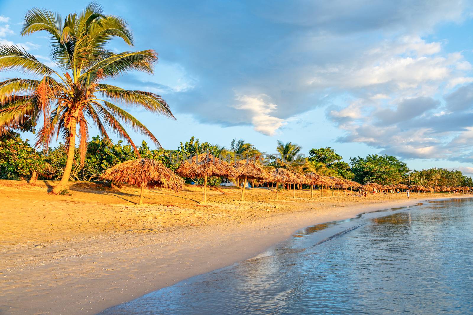 Rancho Luna caribbean beach with palms and straw umbrellas on the shore, Cienfuegos, Cuba