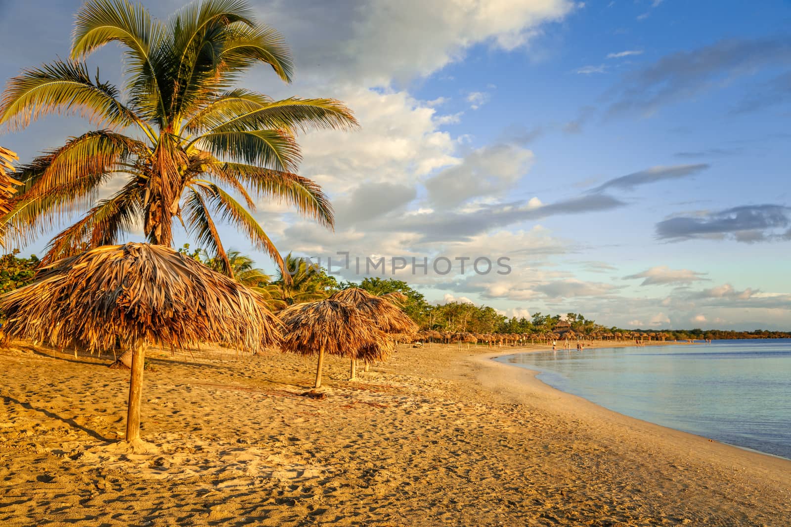 Rancho Luna sandy beach with palms and straw umbrellas on the shore, Cienfuegos, Cuba
