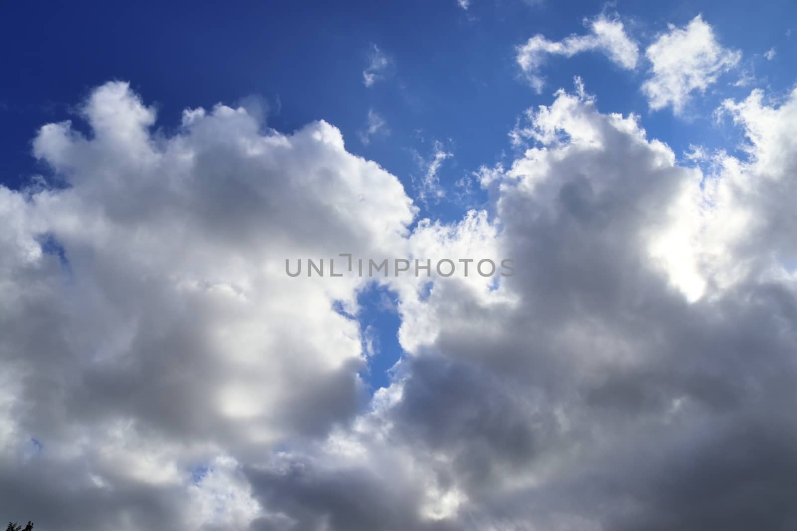 Beautiful view at sunbeams with some lens flares and clouds in a by MP_foto71