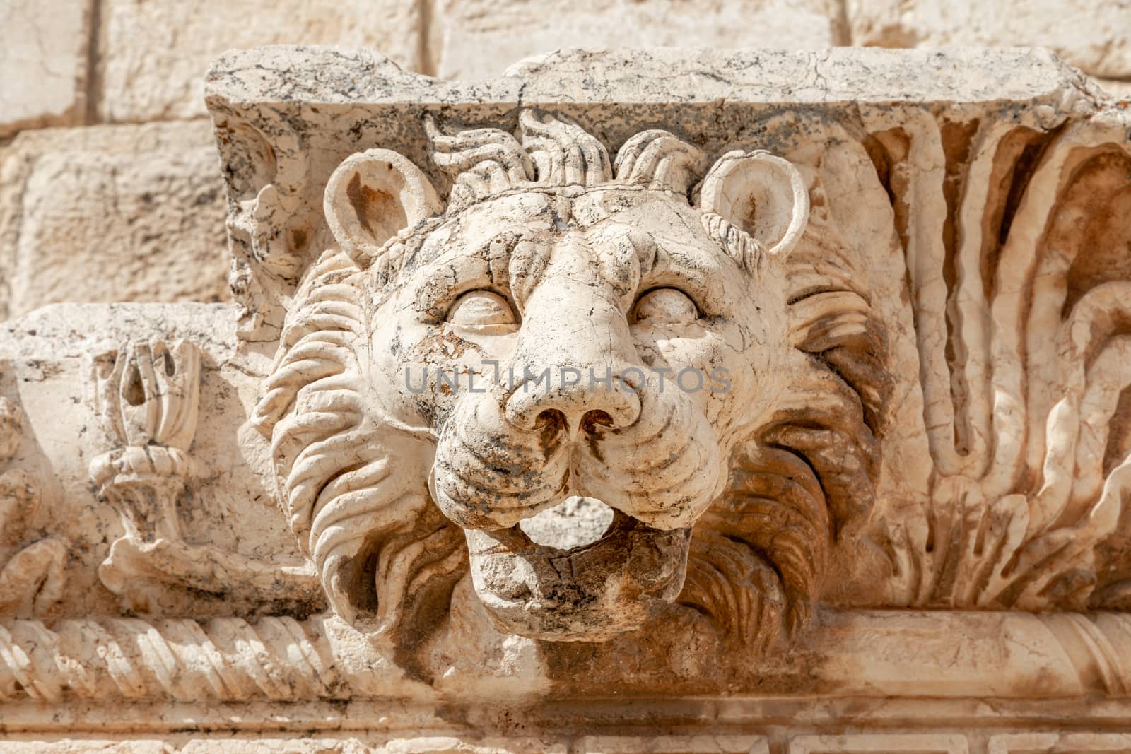 Head of the lion, Roman wall ornament at Bacchus temple, Bekaa V by ambeon