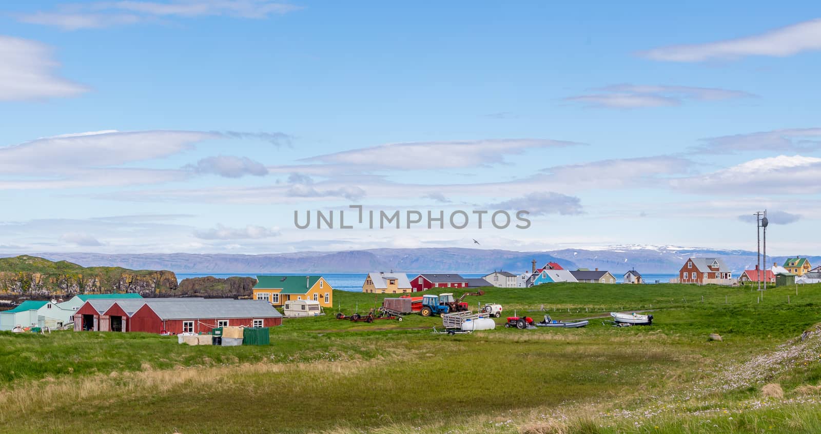 Village with living houses and meadow in foreground and sea  fjord with blue sky in the background, Flatey island, Iceland