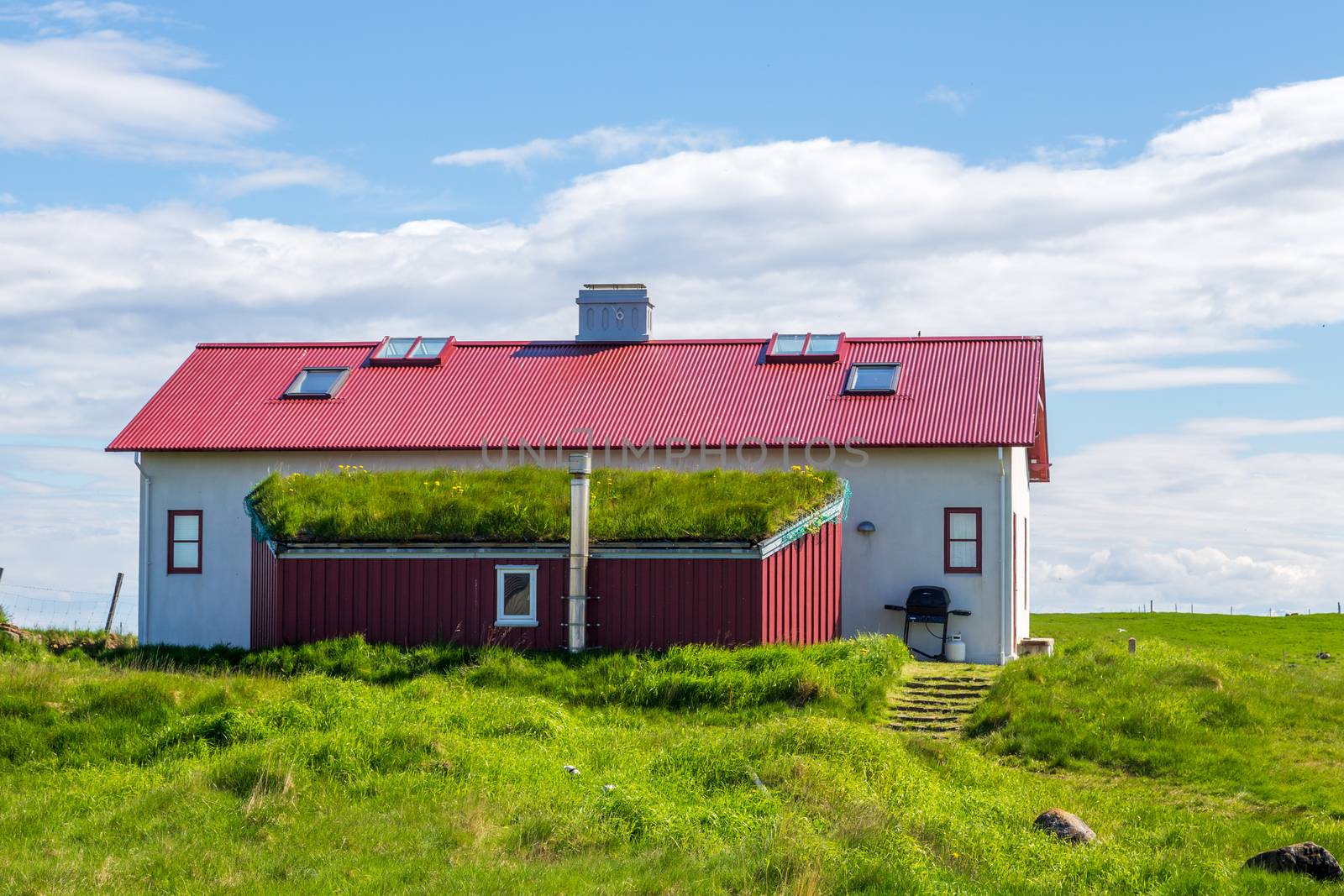 Icelandic eco house with grass on the roof, in the village on Flatey island, Iceland