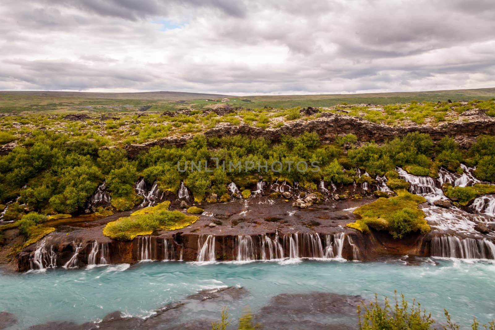 Hraunfossar waterfall streams falling into Hvita river, Husafell, Western Iceland