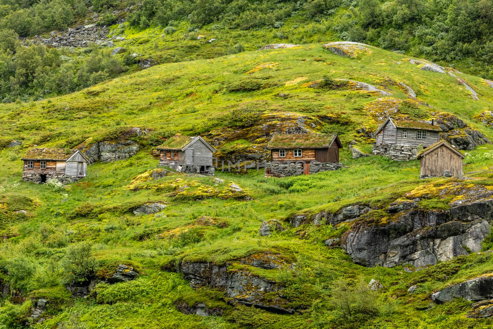 Norwegian mountain village with traditional turf roof houses, Ge by ambeon