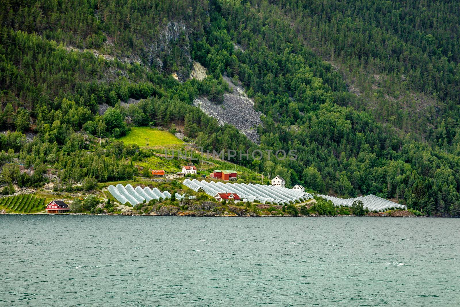 Norwegian agricultural farm with greenhouses on the hill at Naer by ambeon