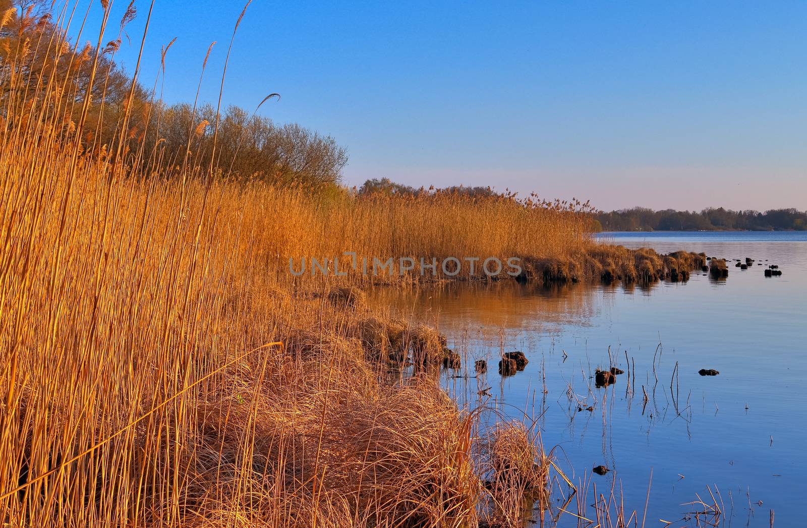 Beautiful and romantic sunset at a lake in stunning yellow and orange colors