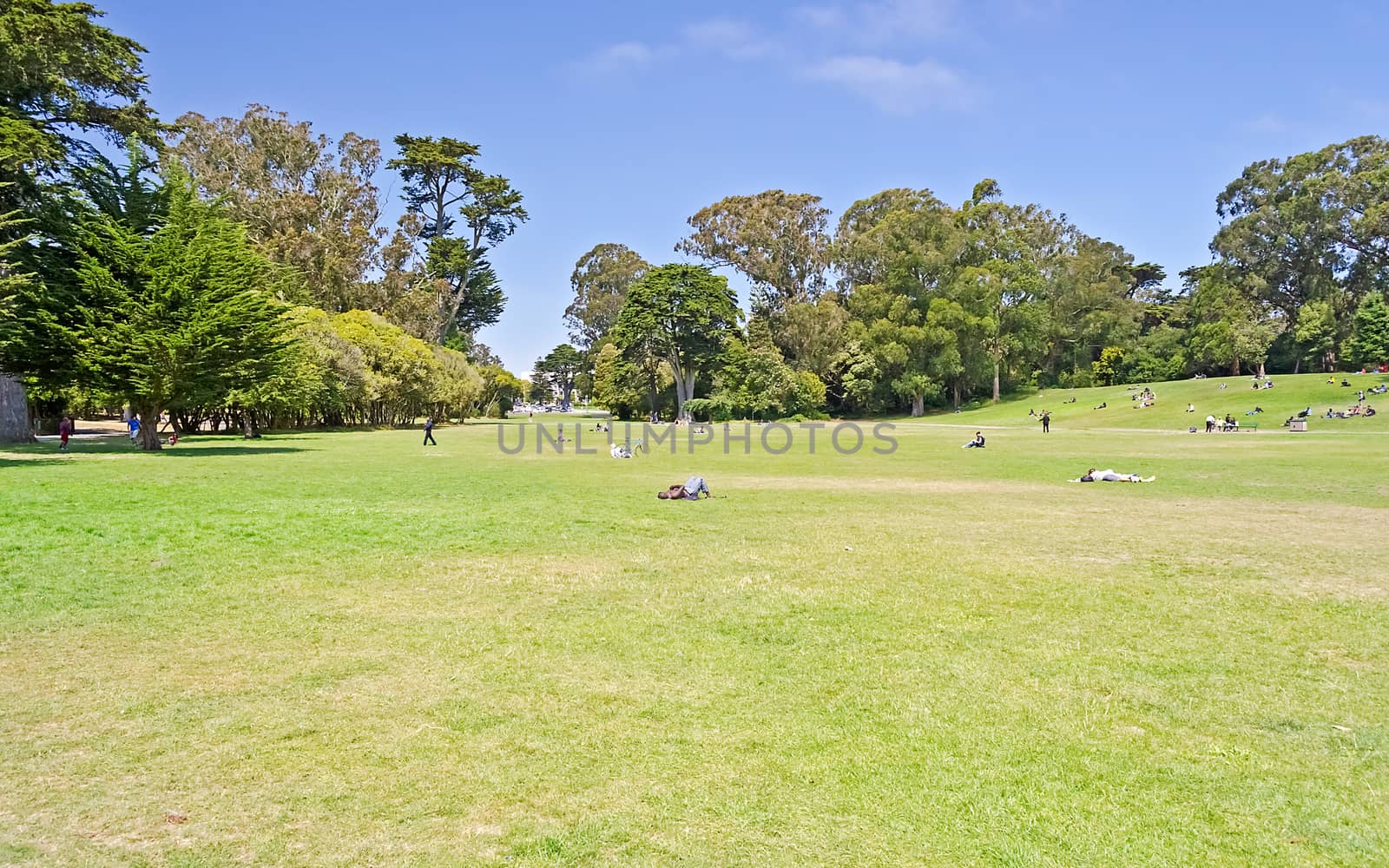Golden Gate Park, San Francisco, California, USA